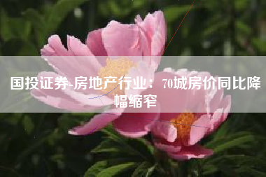国投证券-房地产行业：70城房价同比降幅缩窄