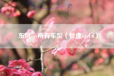 东风suv所有车型（景逸suv1.6）