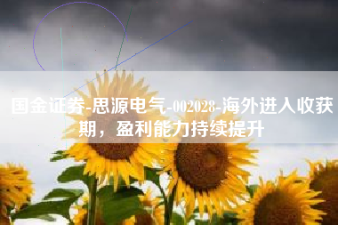 国金证券-思源电气-002028-海外进入收获期，盈利能力持续提升