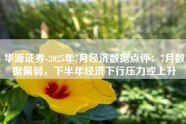 华源证券-2025年7月经济数据点评：7月数据偏弱，下半年经济下行压力或上升