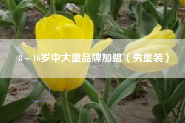 8～16岁中大童品牌加盟（男童装）