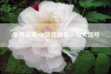 华西证券-Q2货政报告，五大信号