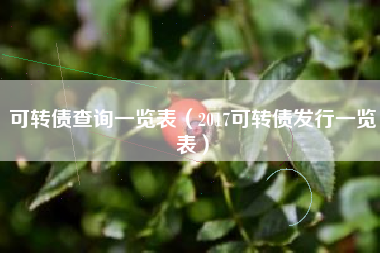 可转债查询一览表（2017可转债发行一览表）