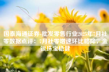 国泰海通证券-批发零售行业2025年7月社零数据点评：7月社零增速环比略降，金银珠宝稳健
