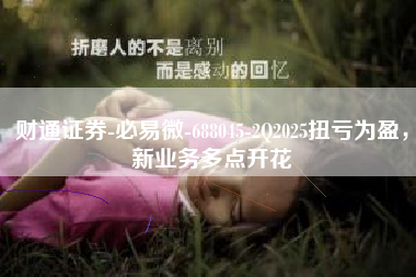 财通证券-必易微-688045-2Q2025扭亏为盈，新业务多点开花