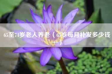 65至74岁老人养老（65岁每月补发多少钱一）