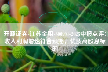 开源证券-江苏金租-600901-2025中报点评：收入利润增速符合预期，优质高股息标的