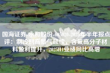 国海证券-永和股份-605020-2025年半年报点评：制冷剂高景气延续，含氟高分子材料盈利提升，2025H1业绩同比高增