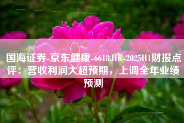 国海证券-京东健康-6618.HK-2025H1财报点评：营收利润大超预期，上调全年业绩预测