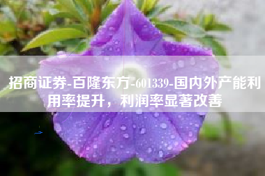 招商证券-百隆东方-601339-国内外产能利用率提升，利润率显著改善
