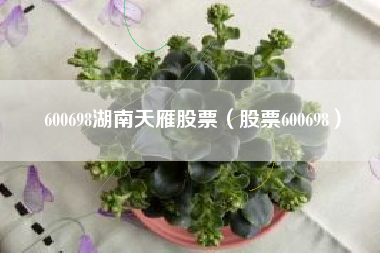 600698湖南天雁股票（股票600698）