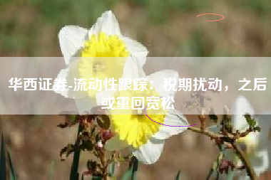 华西证券-流动性跟踪：税期扰动，之后或重回宽松