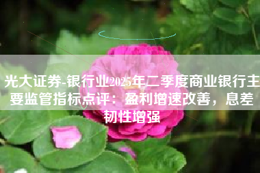 光大证券-银行业2025年二季度商业银行主要监管指标点评：盈利增速改善，息差韧性增强