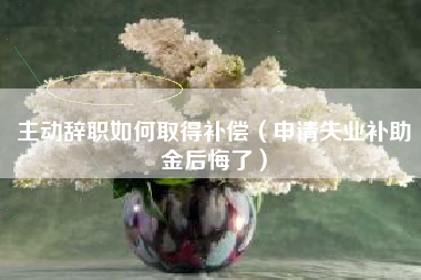 主动辞职如何取得补偿（申请失业补助金后悔了）