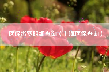 医保缴费明细查询（上海医保查询）