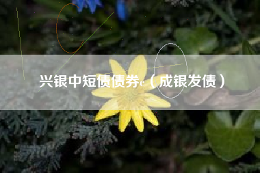 兴银中短债债券c（成银发债）
