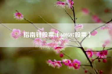 指南针股票（600597股票）