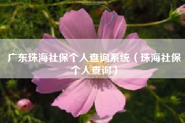 广东珠海社保个人查询系统（珠海社保个人查询）