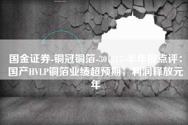 国金证券-铜冠铜箔-301217-半年报点评：国产HVLP铜箔业绩超预期，利润释放元年