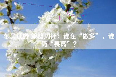 东吴证券-策略周评：谁在“做多”，谁仍“畏高”？