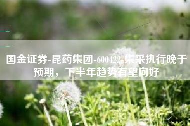 国金证券-昆药集团-600422-集采执行晚于预期，下半年趋势有望向好