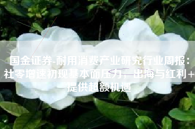 国金证券-耐用消费产业研究行业周报：社零增速初现基本面压力，出海与红利+提供超额机遇