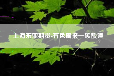 上海东亚期货-有色周报—碳酸锂