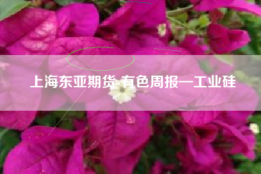 上海东亚期货-有色周报—工业硅