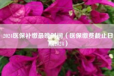 2024医保补缴最晚时间（医保缴费截止日期2024）