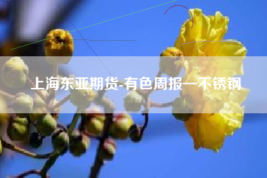 上海东亚期货-有色周报—不锈钢