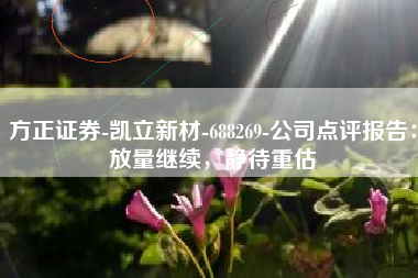 方正证券-凯立新材-688269-公司点评报告：放量继续，静待重估