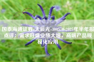 国泰海通证券-太辰光-300570-2025年半年报点评：需求旺盛业绩大增，高端产品规模化应用