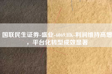 国联民生证券-盛业-6069.HK-利润维持高增，平台化转型成效显著