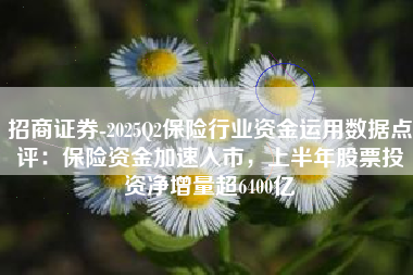 招商证券-2025Q2保险行业资金运用数据点评：保险资金加速入市，上半年股票投资净增量超6400亿