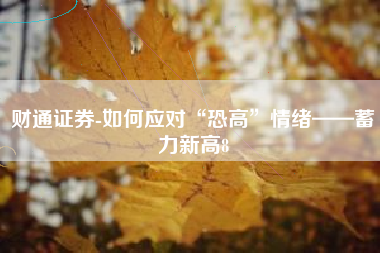 财通证券-如何应对“恐高”情绪——蓄力新高8