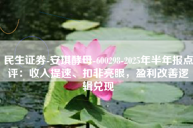 民生证券-安琪酵母-600298-2025年半年报点评：收入提速、扣非亮眼，盈利改善逻辑兑现
