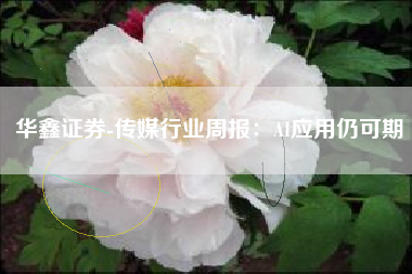华鑫证券-传媒行业周报：AI应用仍可期