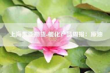 上海东亚期货-能化产品周报：原油