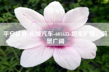 平安证券-长城汽车-601633-坦克扩圈，前景广阔