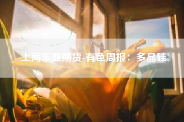 上海东亚期货-有色周报：多晶硅