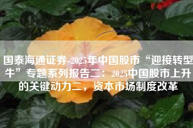 国泰海通证券-2025年中国股市“迎接转型牛”专题系列报告二：2025中国股市上升的关键动力二，资本市场制度改革