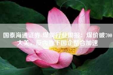 国泰海通证券-煤炭行业周报：煤价破700大关，反内卷下国企整合加速