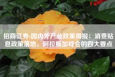 招商证券-国内外产业政策周报：消费贴息政策落地，阿拉斯加峰会的四大要点