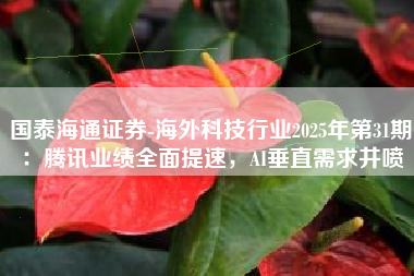国泰海通证券-海外科技行业2025年第31期：腾讯业绩全面提速，AI垂直需求井喷