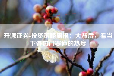 开源证券-投资策略周报：大涨后，看当下各热门赛道的热度