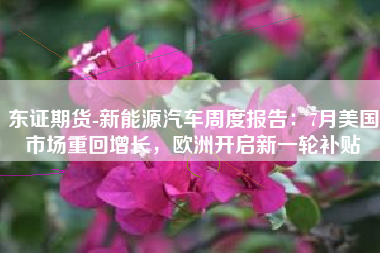 东证期货-新能源汽车周度报告：7月美国市场重回增长，欧洲开启新一轮补贴