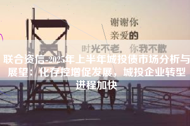 联合资信-2025年上半年城投债市场分析与展望：化存控增促发展，城投企业转型进程加快
