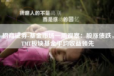招商证券-基金市场一周观察：股涨债跌，TMT板块基金平均收益领先