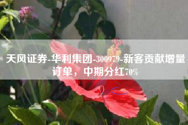 天风证券-华利集团-300979-新客贡献增量订单，中期分红70%