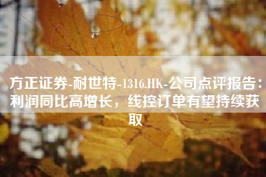 方正证券-耐世特-1316.HK-公司点评报告：利润同比高增长，线控订单有望持续获取